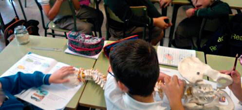 clase dolores espalda escolares
